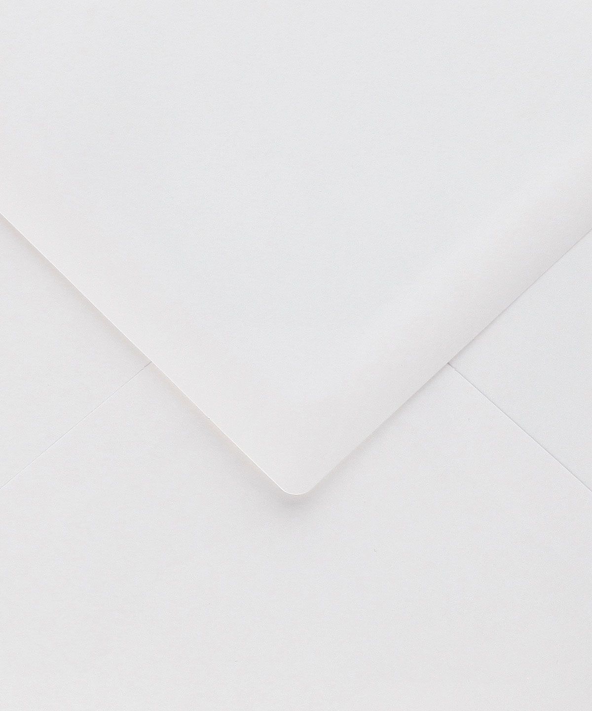 Sobre C7 - Basic Colors - ALGODÓN BLANCO - Imagen 3