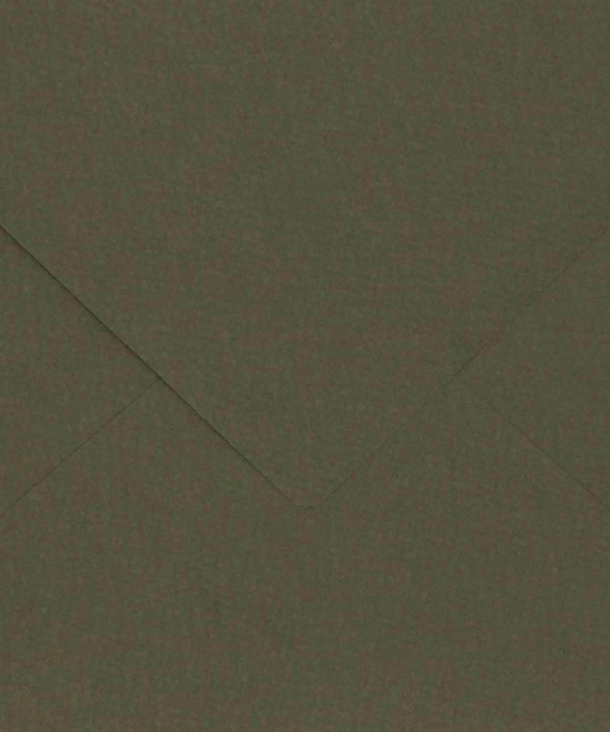 Sobre C6 - Texturados – OLIVA (Acuarela) - Imagen 3