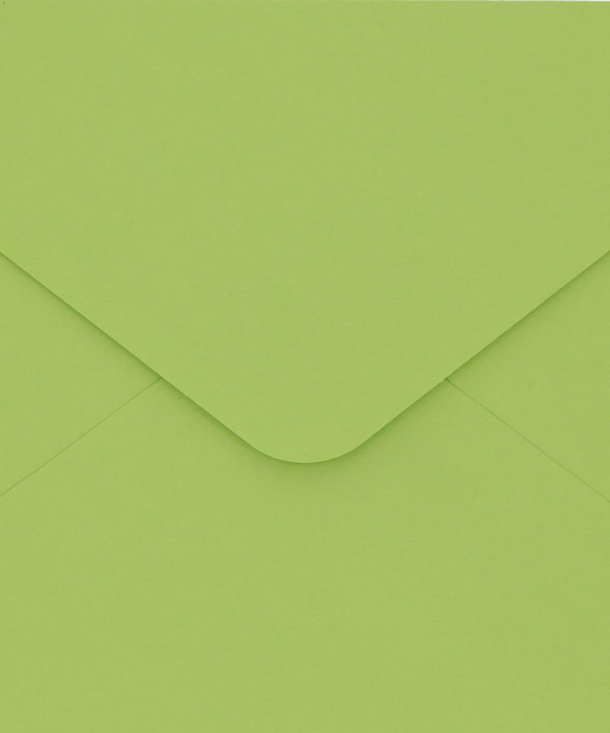 Sobre C5 - VERDE (Colección ’23) - Imagen 3