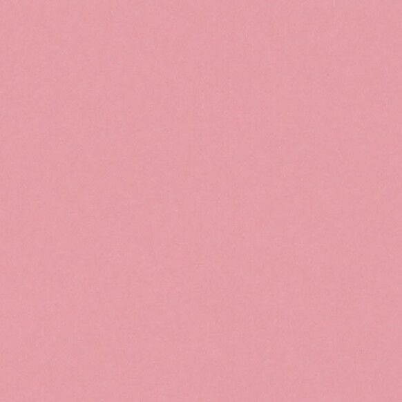 Cartulina - Basic Colors - CHICLE 220g.