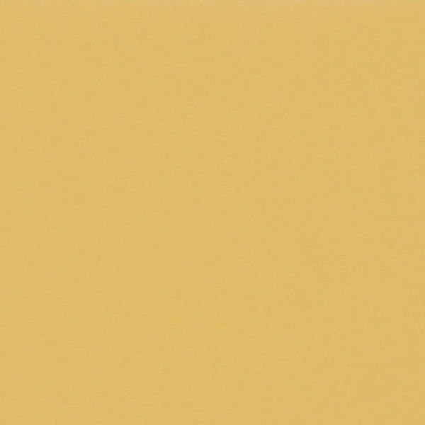 Cartulina - Basic Colors - MOSTAZA 220g.