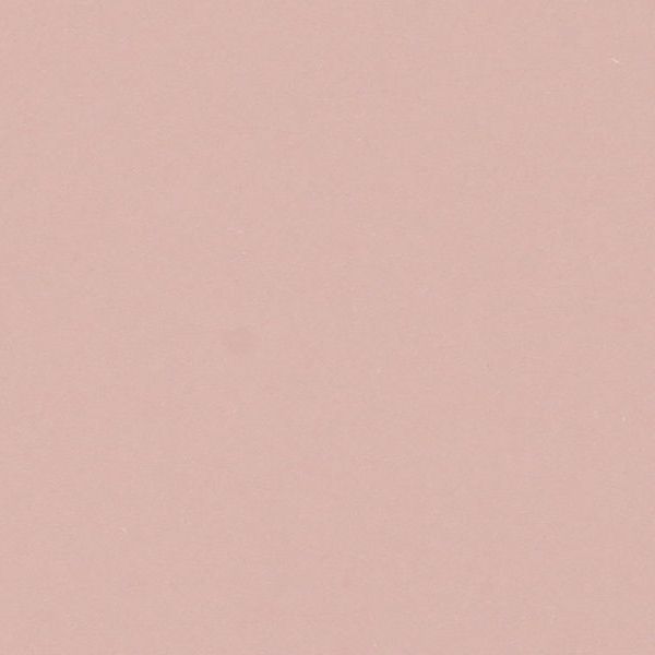 Cartulina - Basic Colors - NUDE 220g.