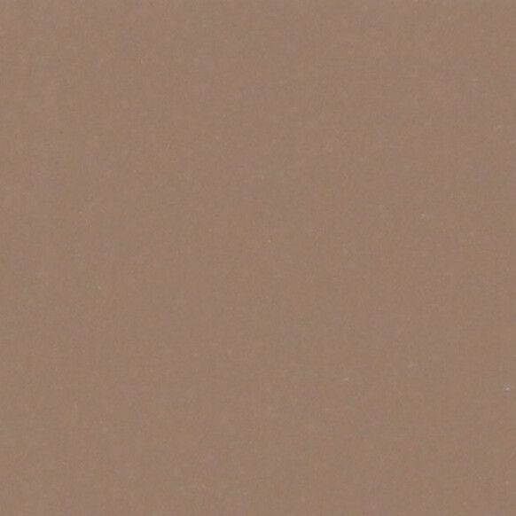 Cartulina - Basic Colors - NUEZ 220g.