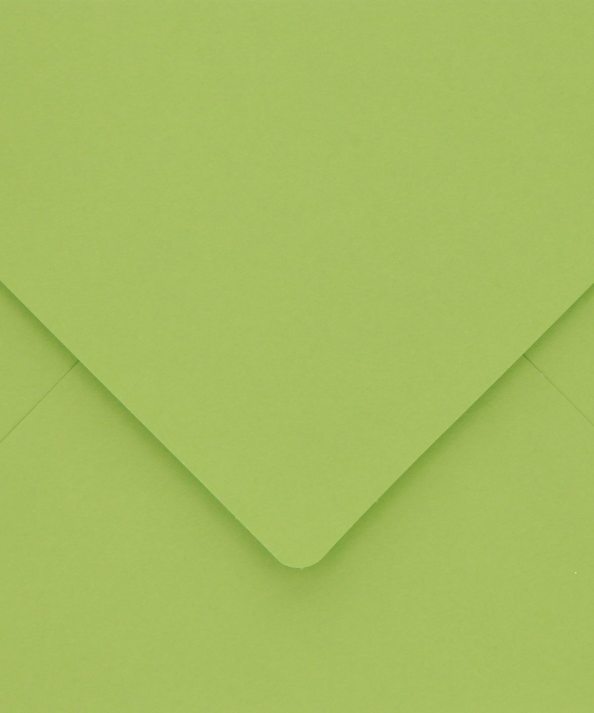 Sobre B6 - Basic Colors - VERDE - Imagen 3