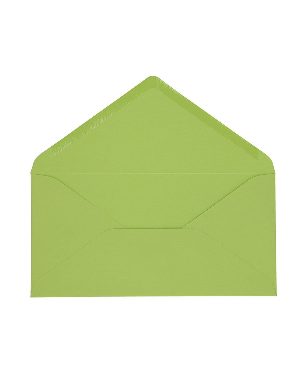 Sobre DL - Basic Colors - VERDE - Imagen 2