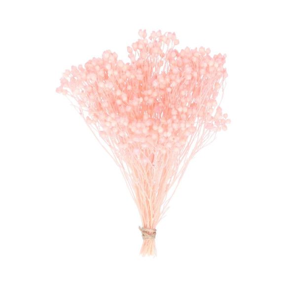 BROOMS PRESERVADO | NUDE