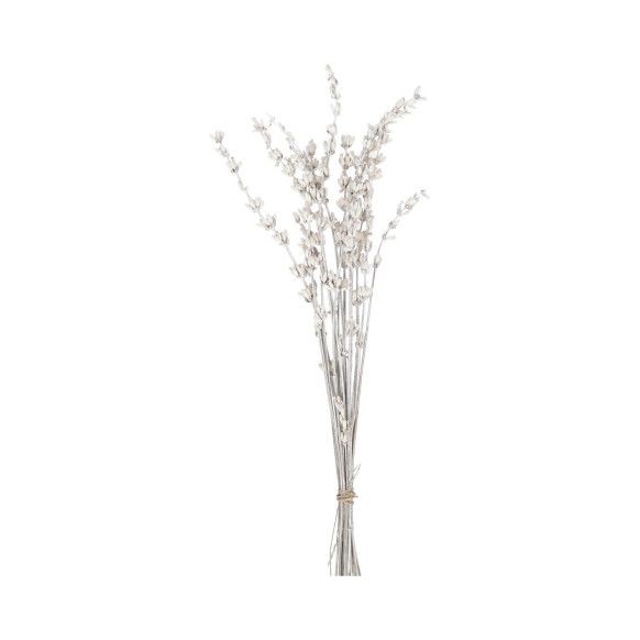 LAVANDA PRESERVADA | BLANCA