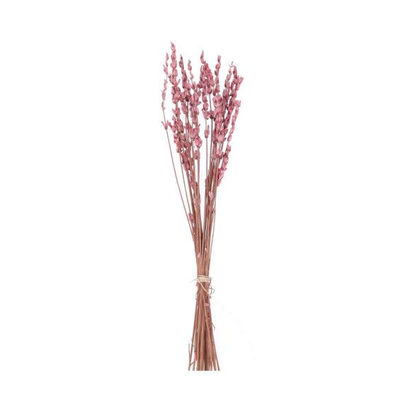 LAVANDA PRESERVADA | ROSA