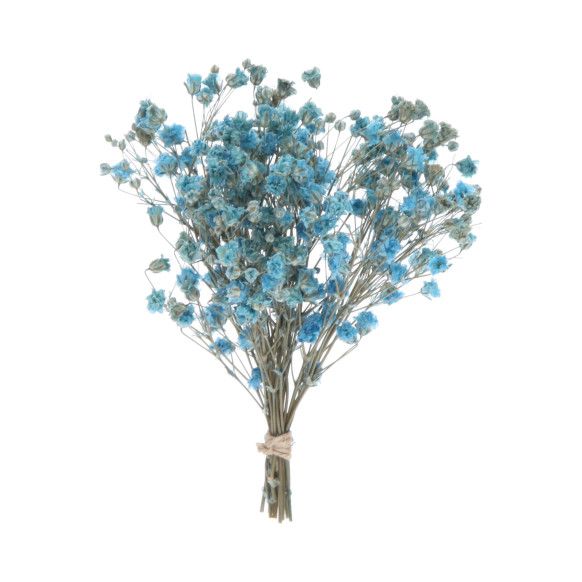 RAMO PANICULATA | AZUL