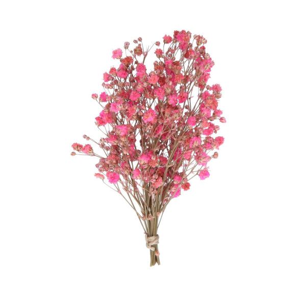 RAMO PANICULATA | FUCSIA