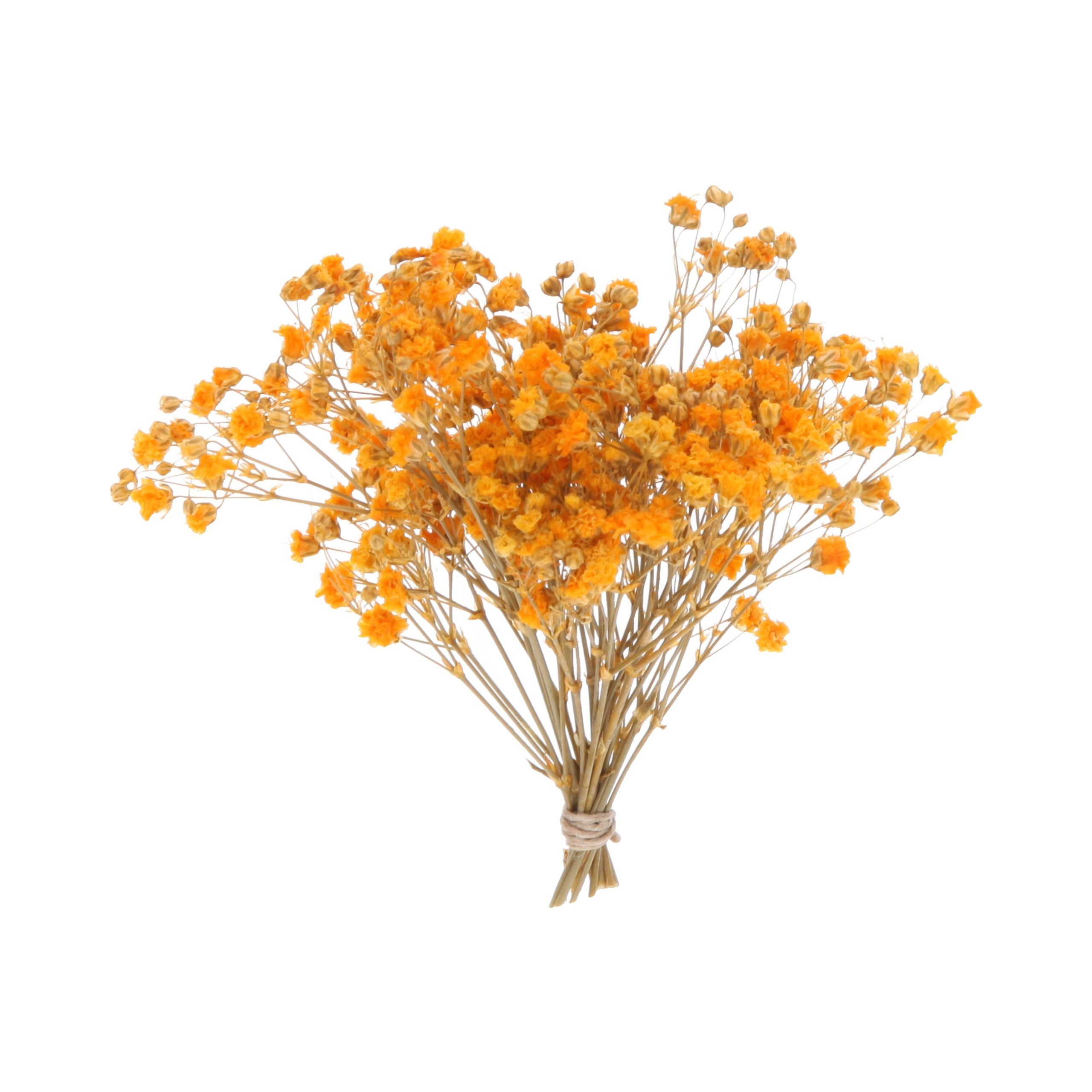 RAMO PANICULATA | NARANJA